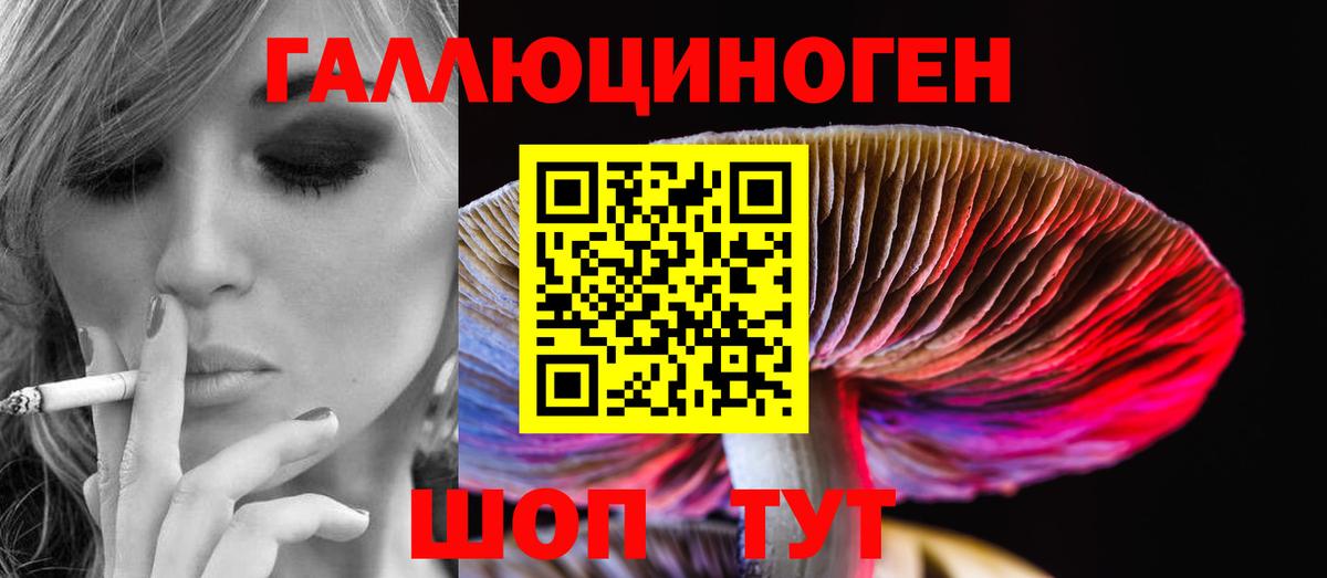 Псилоцибиновые грибы GOLDEN TEACHER  Вход с VPN  Ишим 